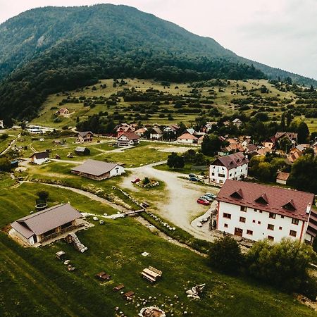 Pensiunea 3 Brazi Zărneşti Esterno foto