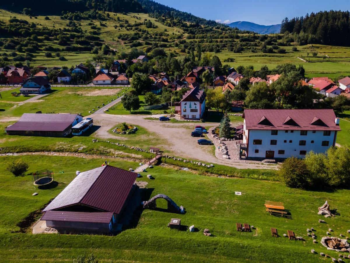 Pensiunea 3 Brazi Zărneşti Esterno foto