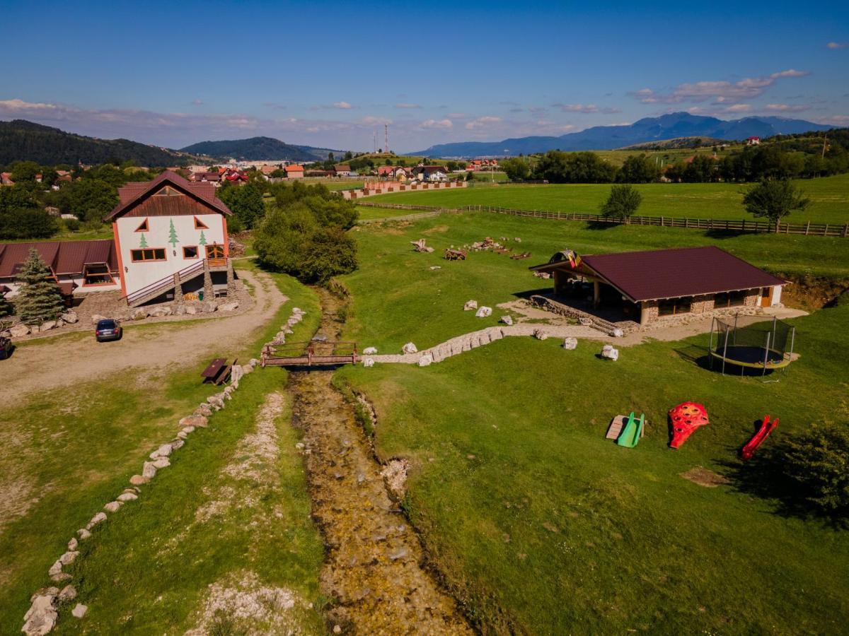 Pensiunea 3 Brazi Zărneşti Esterno foto