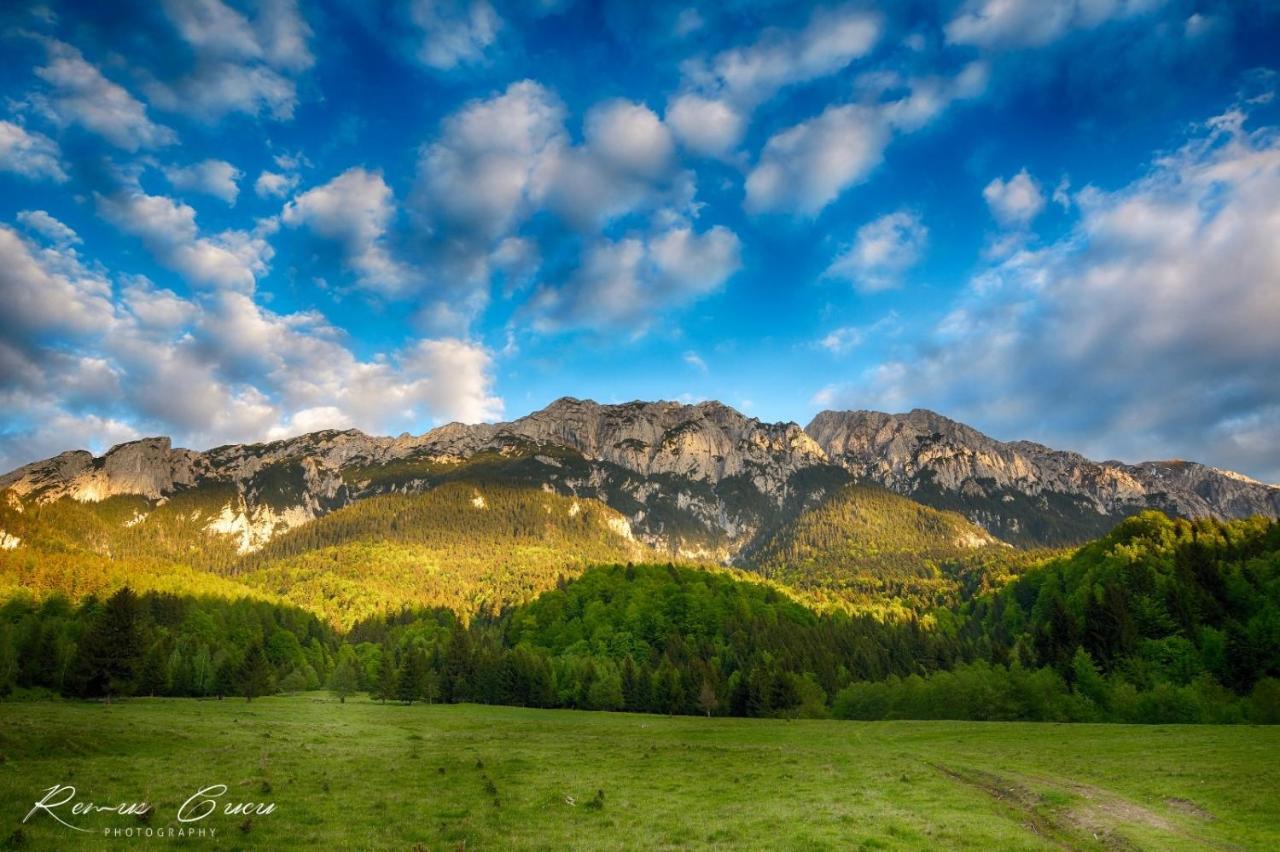 Pensiunea 3 Brazi Zărneşti Esterno foto