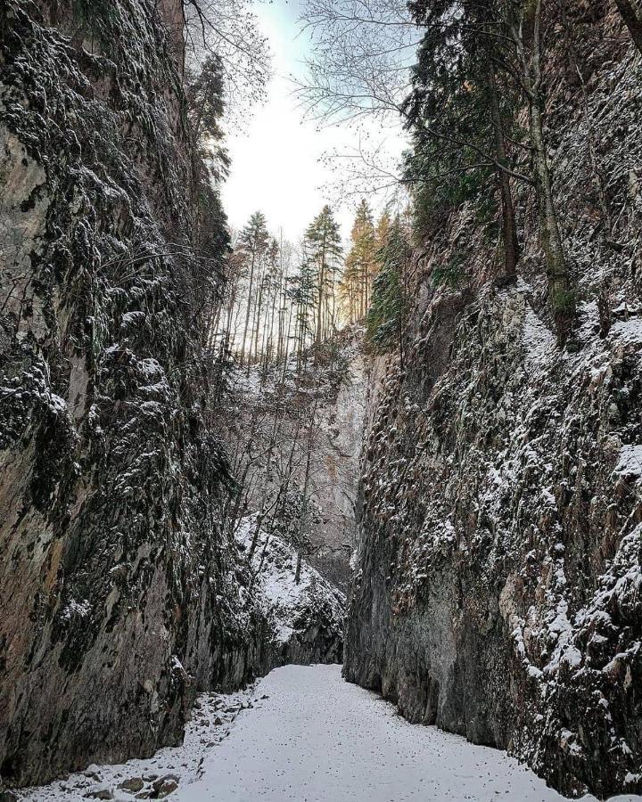 Pensiunea 3 Brazi Zărneşti Esterno foto