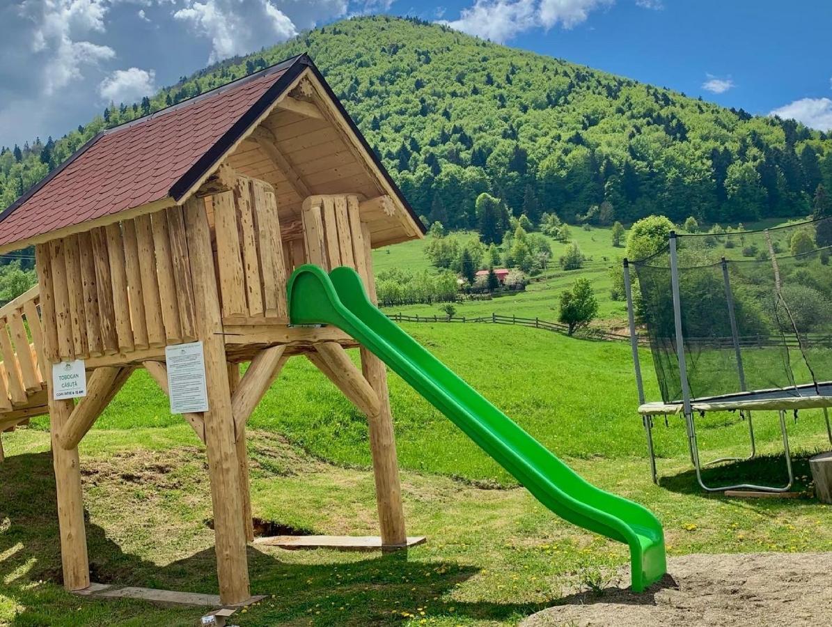 Pensiunea 3 Brazi Zărneşti Esterno foto