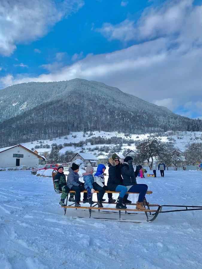 Pensiunea 3 Brazi Zărneşti Esterno foto