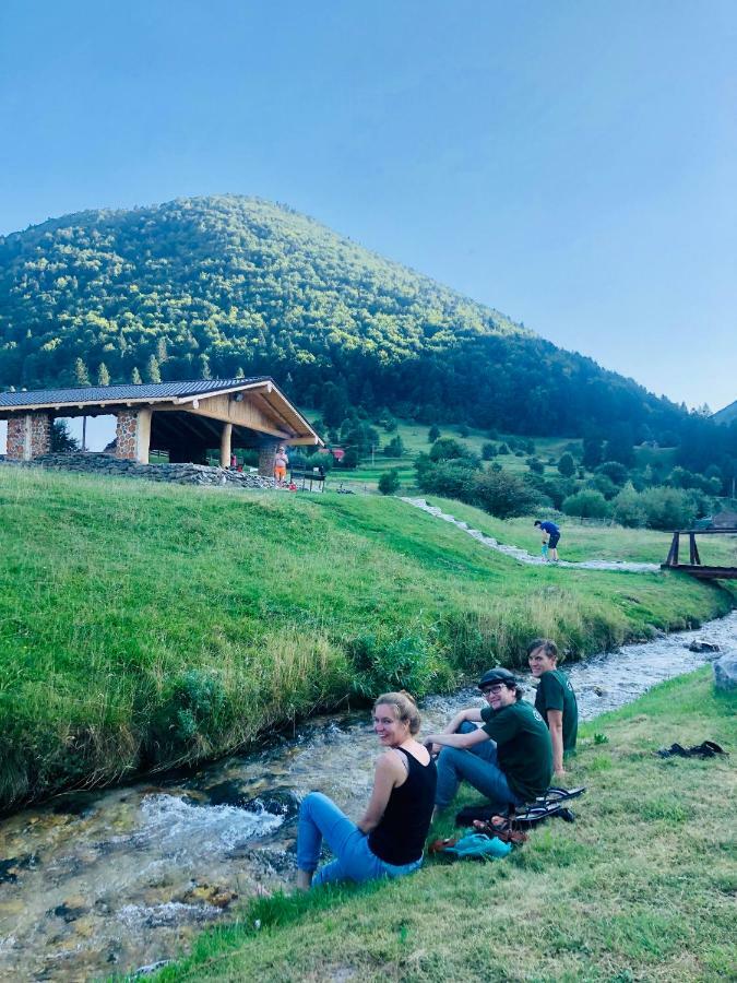 Pensiunea 3 Brazi Zărneşti Esterno foto