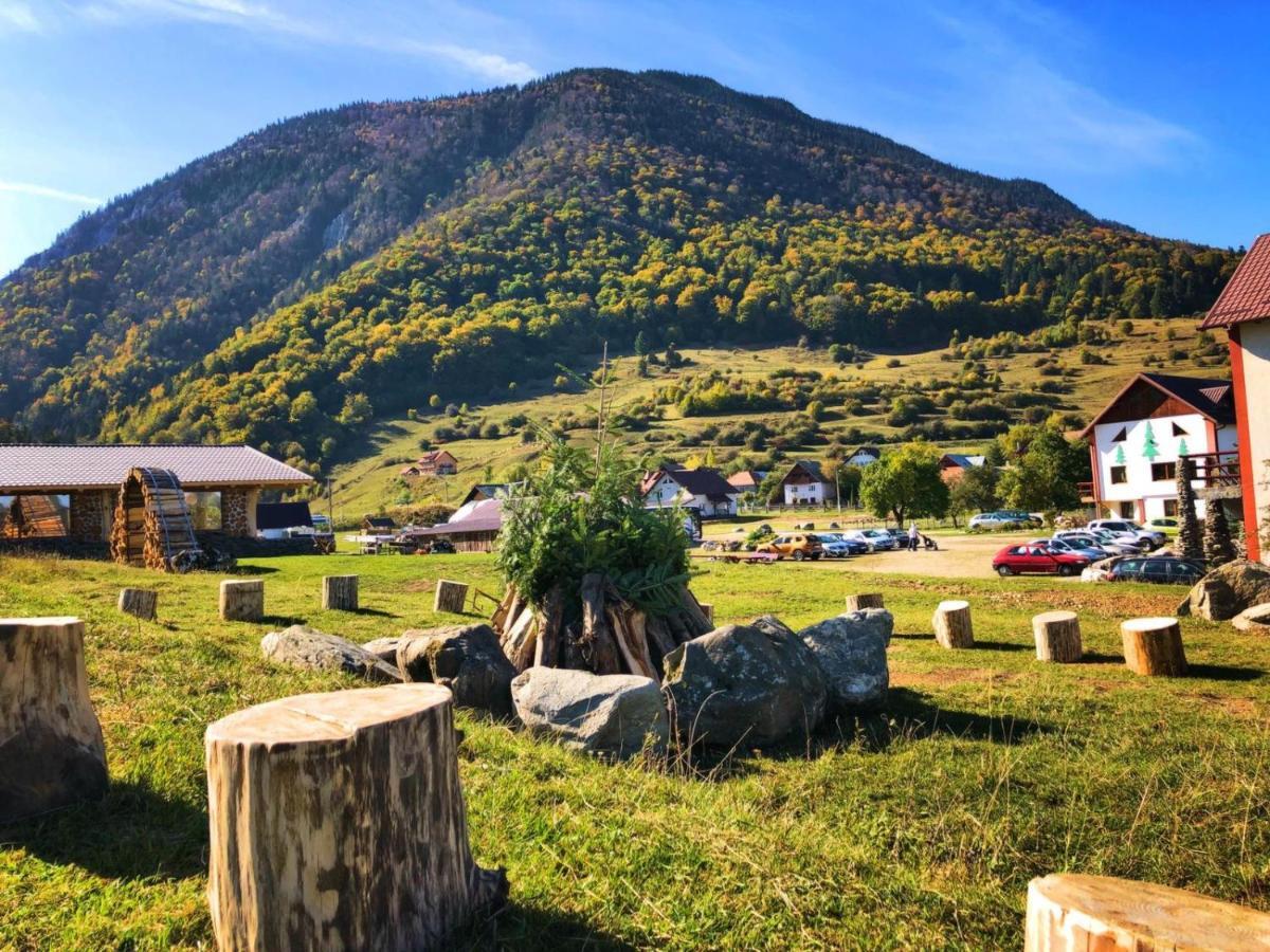 Pensiunea 3 Brazi Zărneşti Esterno foto