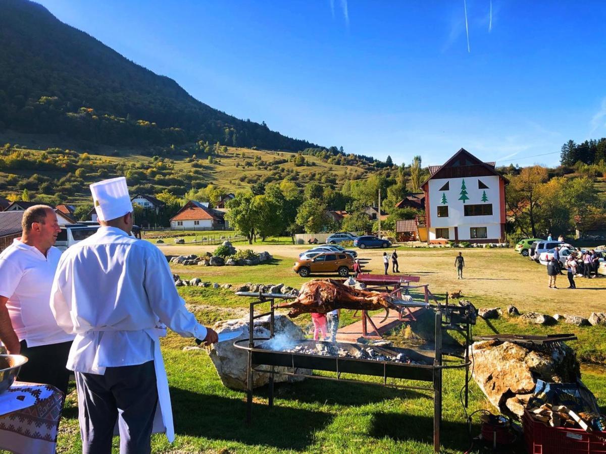 Pensiunea 3 Brazi Zărneşti Esterno foto