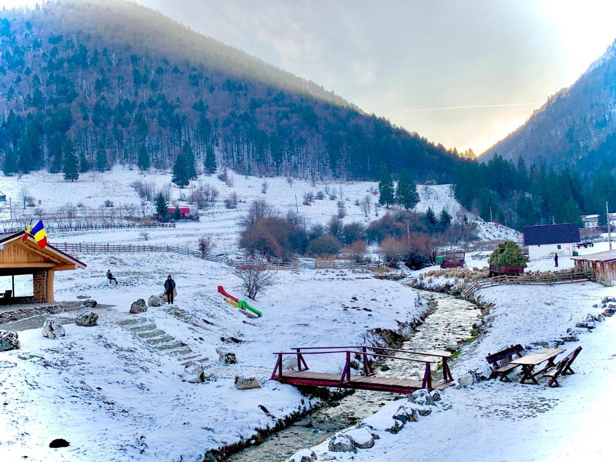 Pensiunea 3 Brazi Zărneşti Esterno foto