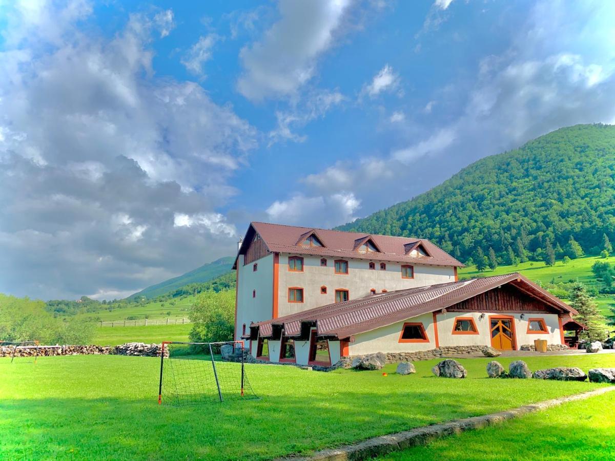 Pensiunea 3 Brazi Zărneşti Esterno foto